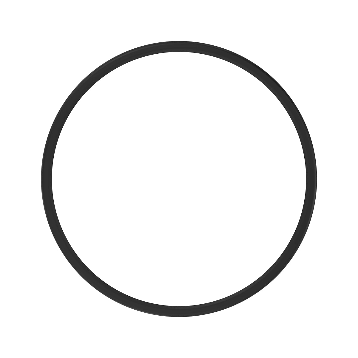 John Deere RE313901: Internal Oil Seal