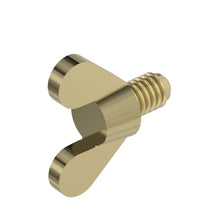 John Deere 21M1689: Wing Screw, M6 X 12