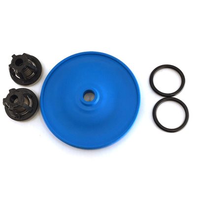 SurePoint Ag 291-02-100500: (All D Series) Pumpright Diaphragm Service Kit- 1 Diaphragm, 2 O-Rings, 2 In / Out Valves