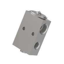 Load image into Gallery viewer, John Deere AH203871: Expansion Valve
