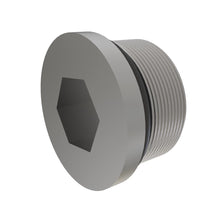 John Deere F85112: Hexagonal Socket Head Drain Plug