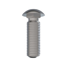 John Deere H137203: Round Head Square Neck Bolt, M20 X 65