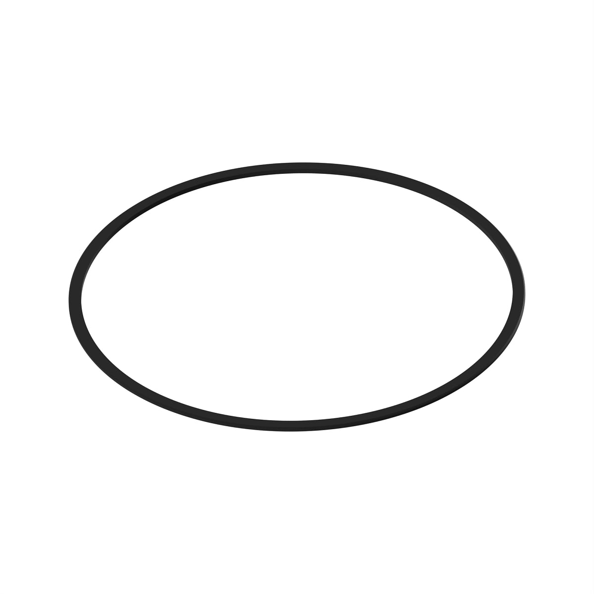 John Deere R120843:  Piston and Rod Rubber Seal