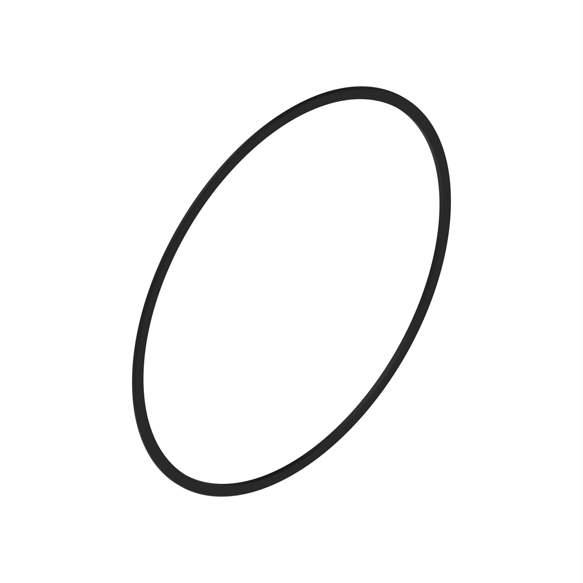 John Deere R120843: Piston and Rod Rubber Seal