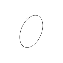John Deere R305179: Brake Piston ID O-Ring