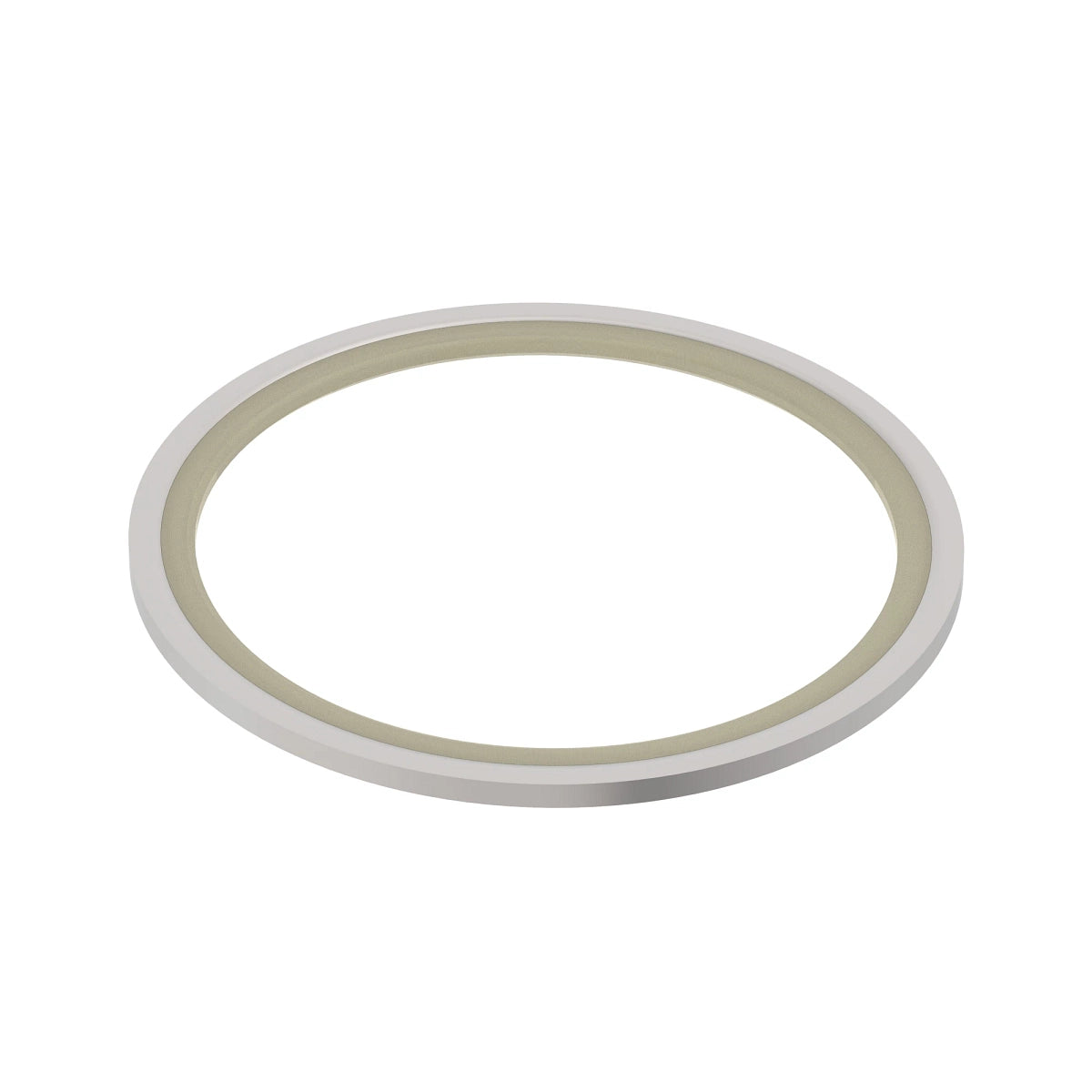 John Deere R46004:  Piston and Rod Packing Seal