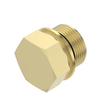 John Deere RE523251:  Fitting Plug