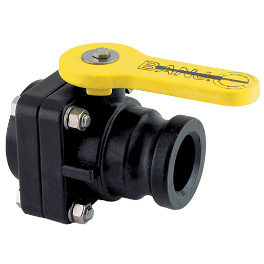 Banjo VSF200: 2" Male Adapter X 2"  Female NPT Valve
