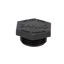 Banjo LSQ200-PL: LSQ Strainer Plug