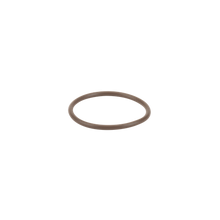 Banjo LST100-GV: 1" Poly T Strainer Gasket-FKM